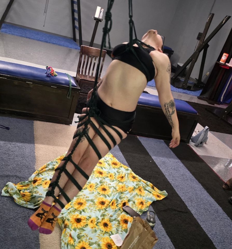 Fox OfTheHunt artwork 1